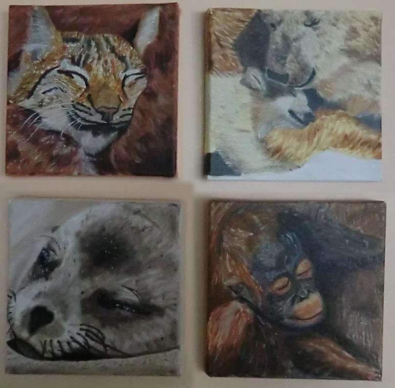 Bbs animaux en peinture  l'huile : ours, lynx, orang-outan, phoque